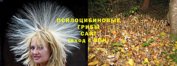 кокс Алексин