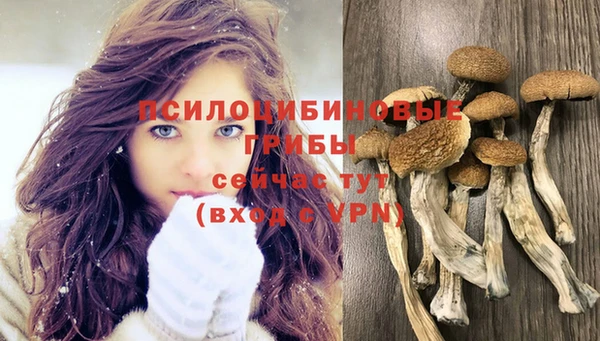 тгк Алексеевка