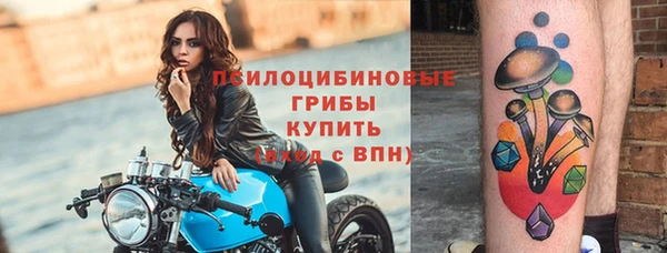 кокс Алексин